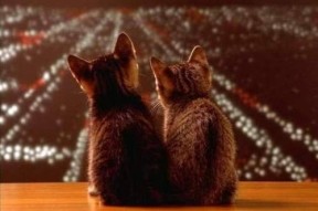 九游娱乐网站-国际热身赛国家队晋级 技术调整成效显著，热身赛算国家队进球吗