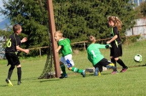 九游博彩-体育新闻中心承办高校体育传播研究成果展示活动，体育新闻传媒专业大学排名