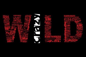 九游电脑版-埃弗顿中路防守密度成功限制对方核心，埃弗顿战术