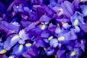 9游-乌拉圭队士气高昂，期待在国际赛场再创佳绩