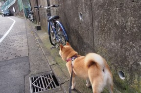 九游游戏中心下载-五大联赛是否倾向于在开局十分钟抢占心理优势，五大联赛的规则