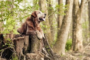 九游游戏中心下载-“定向越野：东部新区赛场考验运动员全方位能力”