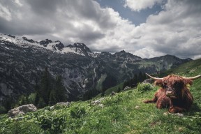 九游社区-中国足球青训人才培养短板，中国的足球青训体系