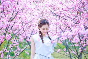 九游网页版入口-王者荣耀赛场节奏变化快选手临场应变成重点，王者荣耀节奏变快了吗