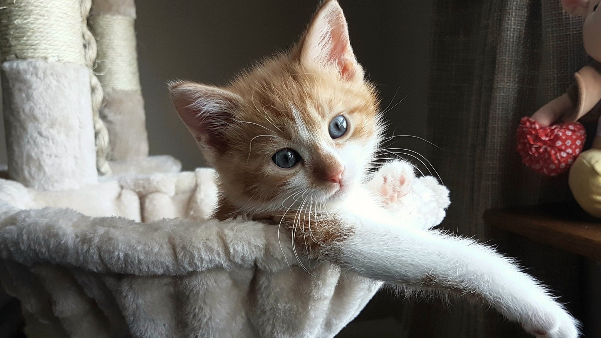 PSG强大实力,海湾者能否逆袭?,海湾官方网站