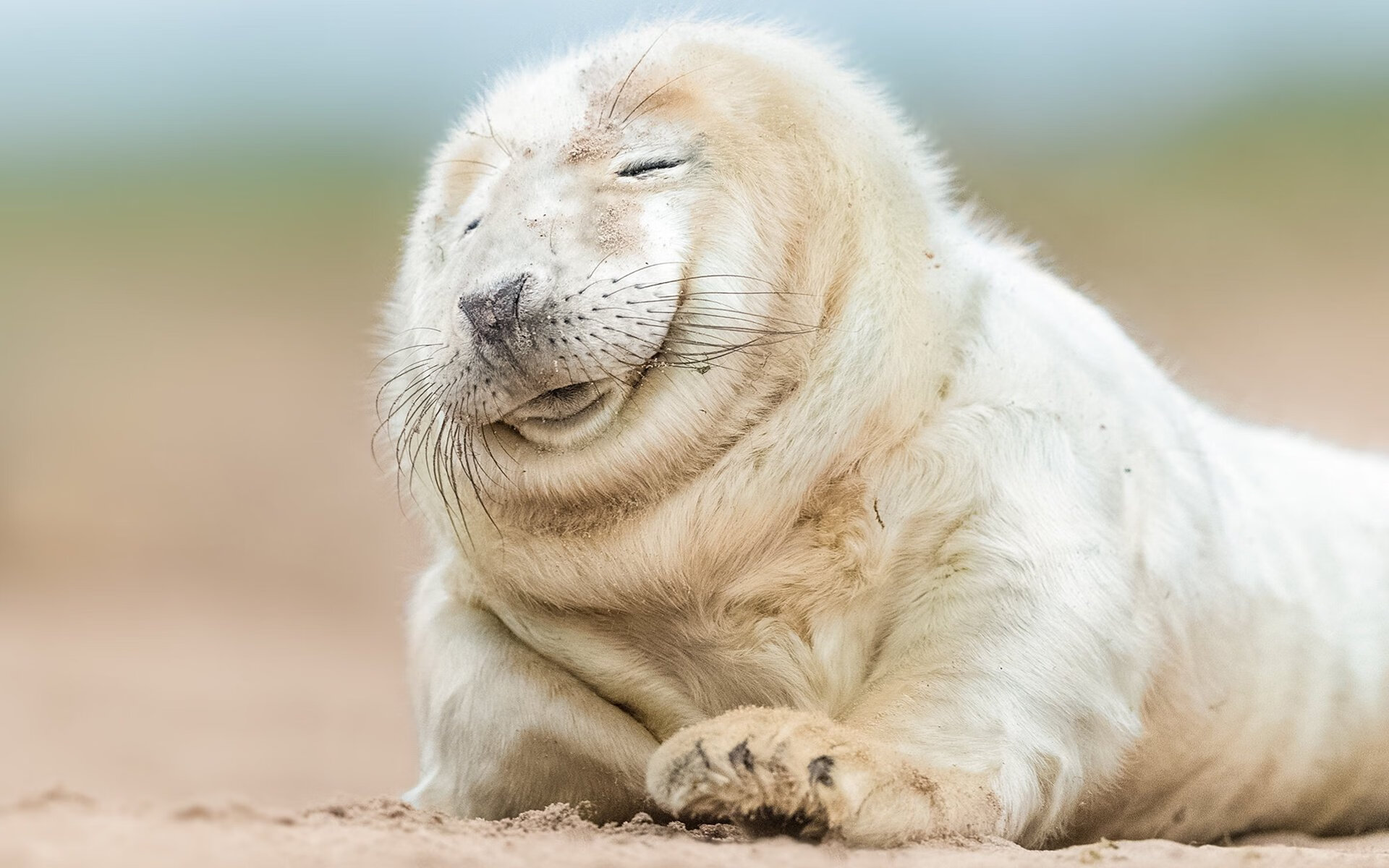 LPL海外粉丝群体不断扩大中文解说走向世界，英雄联盟国外解说视频