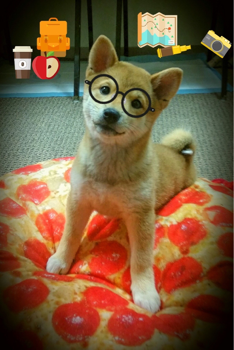 滑雪场迎来开板季大众热情高涨,滑雪 场