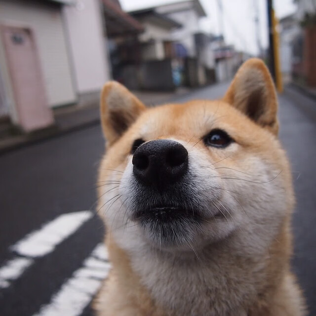 职业球员商业化影响竞技重心,商业化对现代足球运动发展的影响