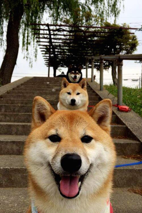 伊丽莎白·德克斯决赛突破自我赢得喝彩，伊丽莎白·德比齐剧照